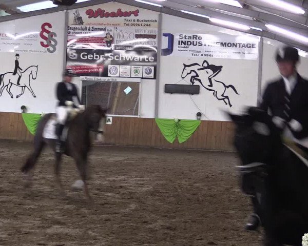 Reitturnier Dohrener Pferdetage 2017