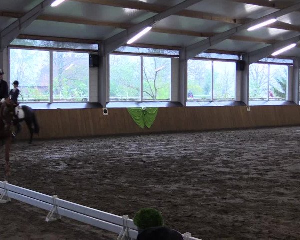 Reitturnier Dohrener Pferdetage 2017