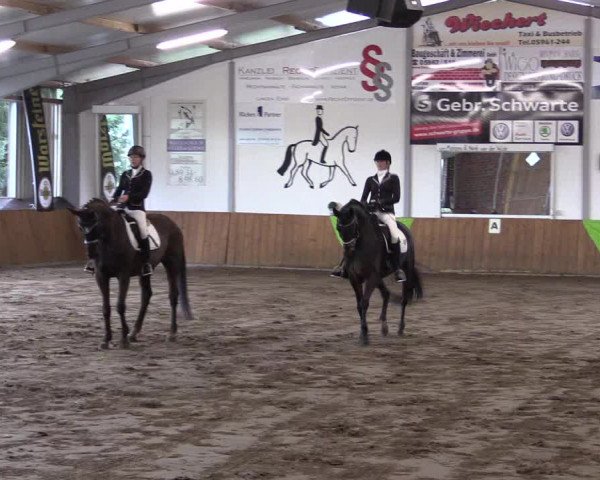 Reitturnier Dohrener Pferdetage 2017