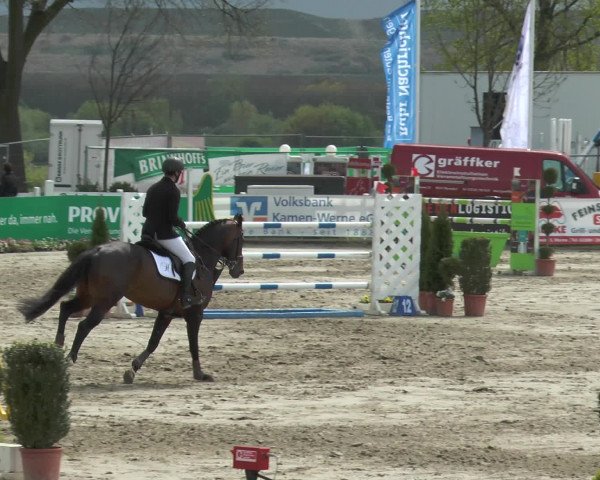Lenklarer Reitertage 2017