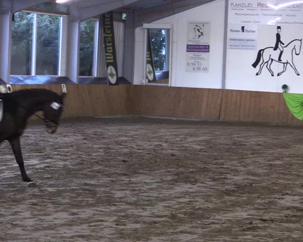 Reitturnier Dohrener Pferdetage 2017