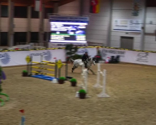 Christmas Jumping Trophy Prussendorf 2021