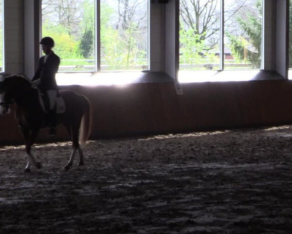 Reitturnier Dohrener Pferdetage 2017
