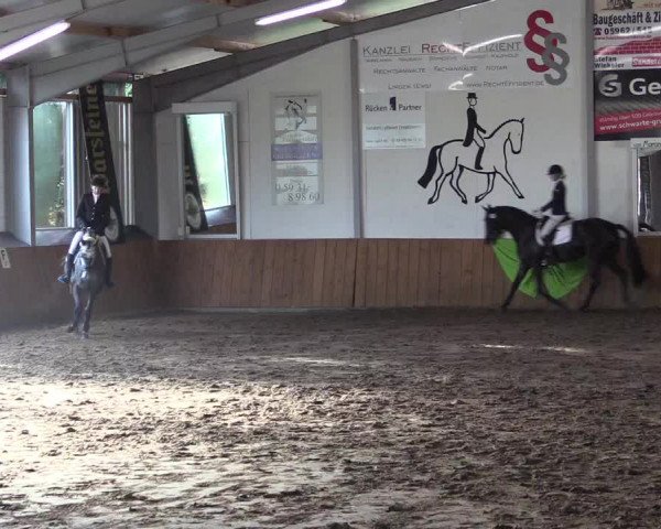 Reitturnier Dohrener Pferdetage 2017