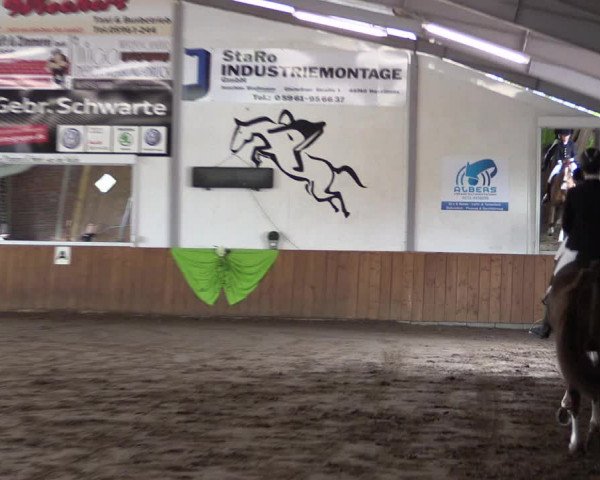 Reitturnier Dohrener Pferdetage 2017
