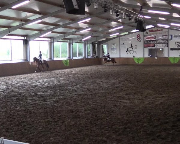 Reitturnier Dohrener Pferdetage 2017