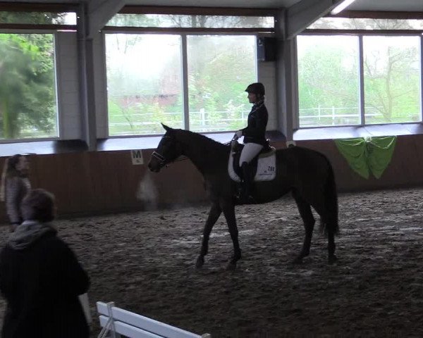 Reitturnier Dohrener Pferdetage 2017