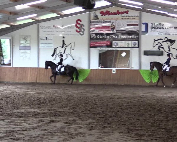 Reitturnier Dohrener Pferdetage 2017