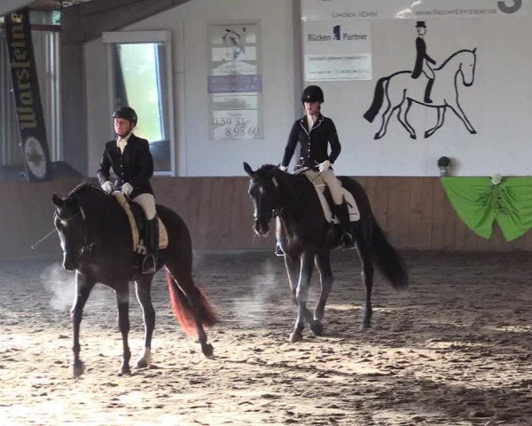 Reitturnier Dohrener Pferdetage 2017