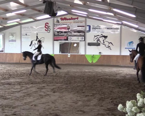 Reitturnier Dohrener Pferdetage 2017