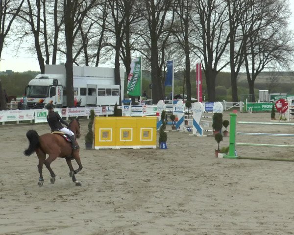 Lenklarer Reitertage 2017