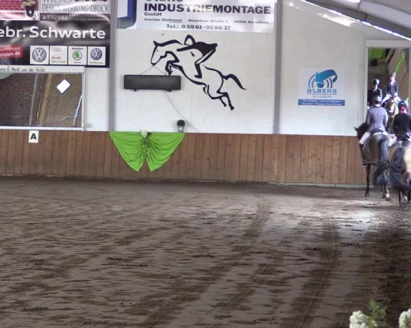 Reitturnier Dohrener Pferdetage 2017