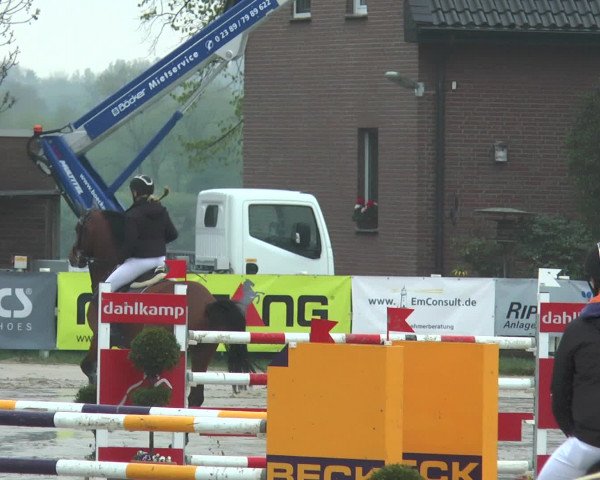 Reitturnier Werne-Lenklar 2017