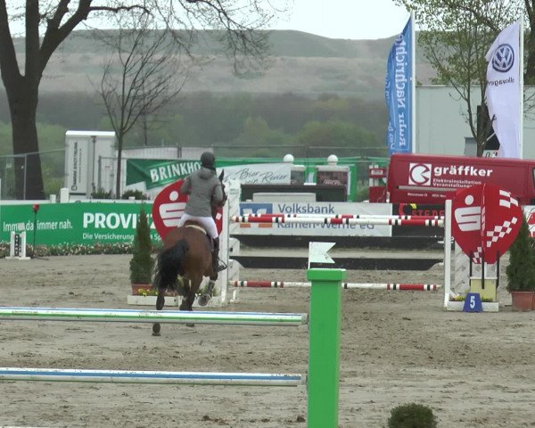 Reitturnier Werne-Lenklar 2017