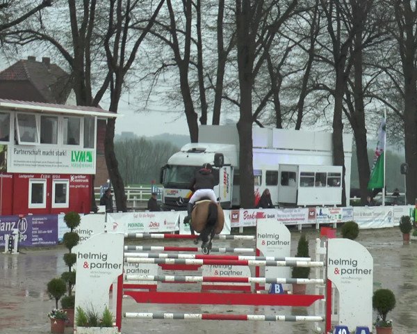 Reitturnier Werne-Lenklar 2017