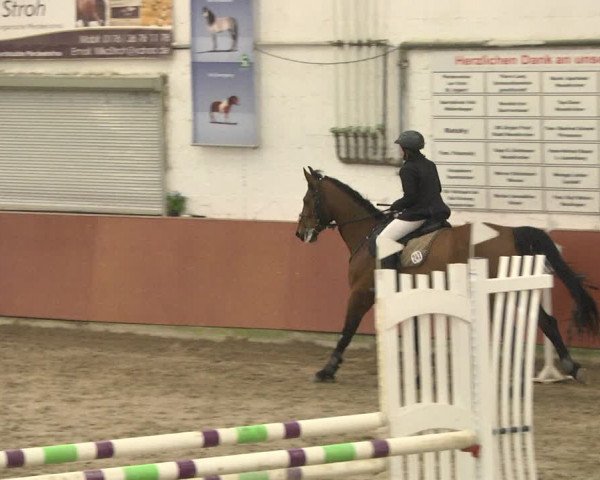 Reitturnier Neunkirchen-Furpach 2017