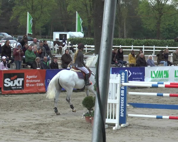 Lenklarer Reitertage 2017