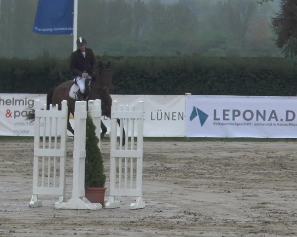 Reitturnier Werne-Lenklar 2017