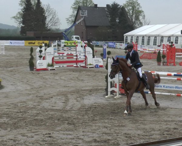 Lenklarer Reitertage 2017