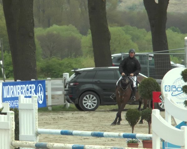 Reitturnier Werne-Lenklar 2017