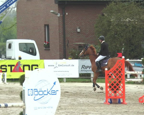 Lenklarer Reitertage 2017