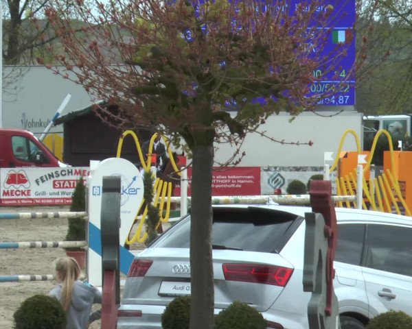 Lenklarer Reitertage 2017