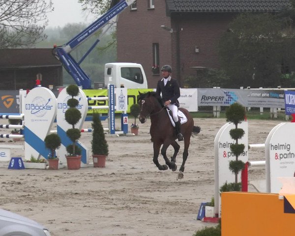 Lenklarer Reitertage 2017