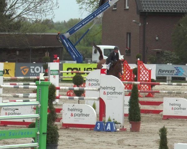 Reitturnier Werne-Lenklar 2017