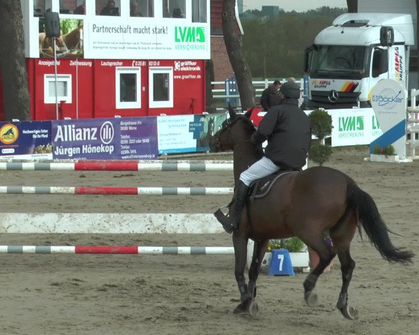 Reitturnier Werne-Lenklar 2017