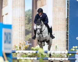 Springpferd Calotta Caramba T (Hannoveraner, 2010, von Contagio)