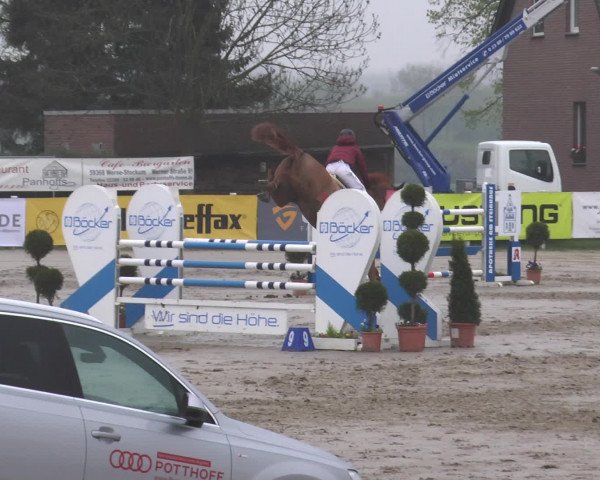 Lenklarer Reitertage 2017