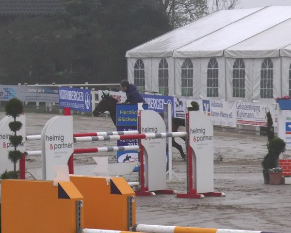 Reitturnier Werne-Lenklar 2017