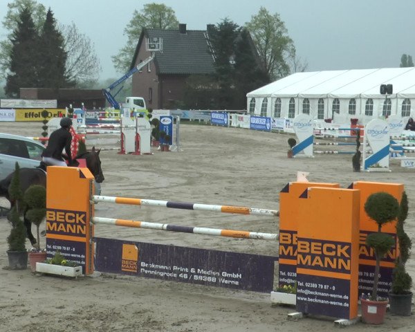 Lenklarer Reitertage 2017