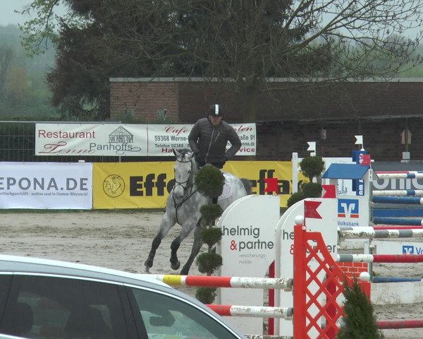 Lenklarer Reitertage 2017