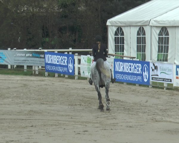 Lenklarer Reitertage 2017