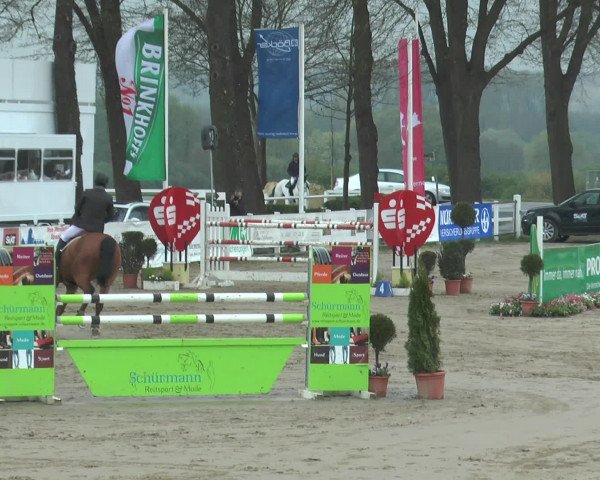 Lenklarer Reitertage 2017