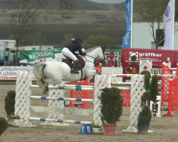 Lenklarer Reitertage 2017