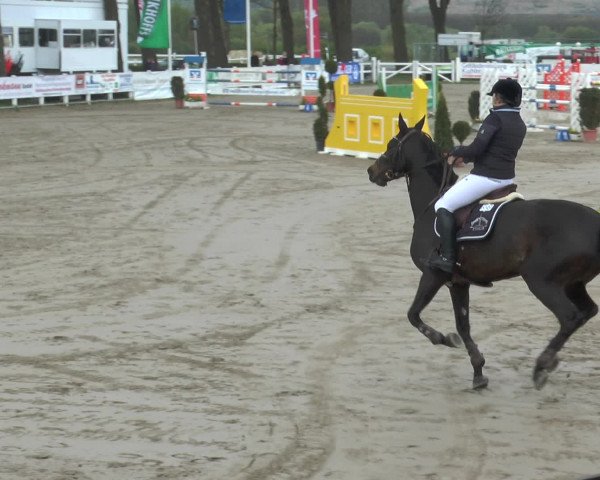 Reitturnier Werne-Lenklar 2017