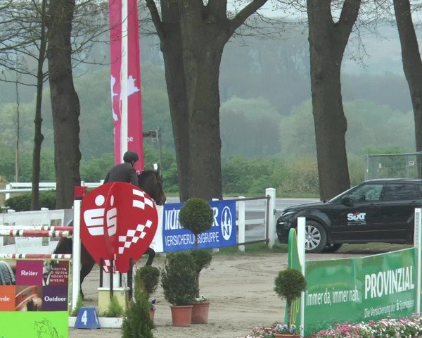 Lenklarer Reitertage 2017
