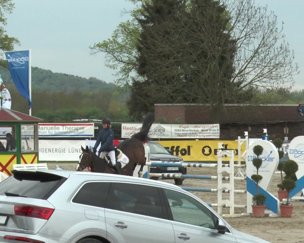 Lenklarer Reitertage 2017
