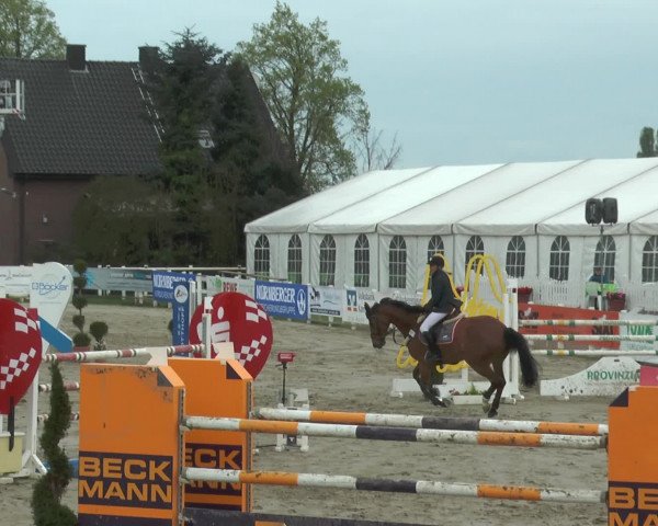 Lenklarer Reitertage 2017