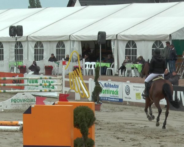 Reitturnier Werne-Lenklar 2017