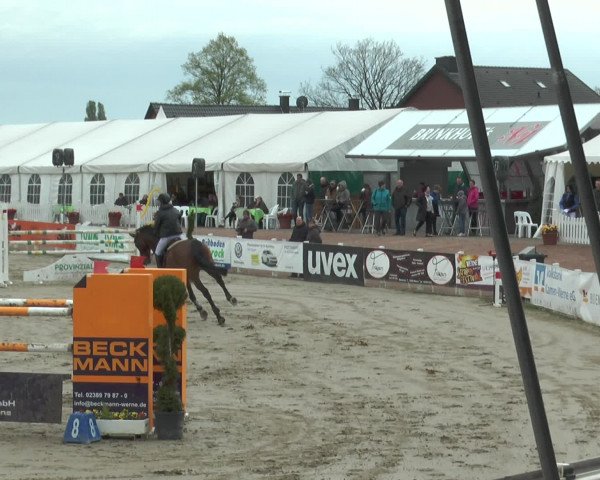 Lenklarer Reitertage 2017