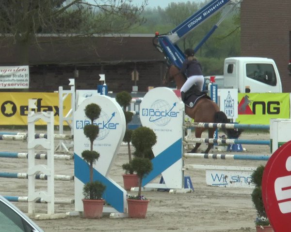 Reitturnier Werne-Lenklar 2017