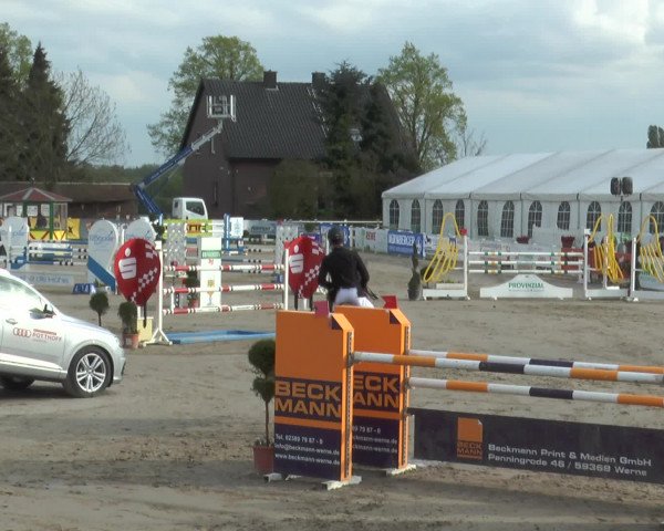 Reitturnier Werne-Lenklar 2017