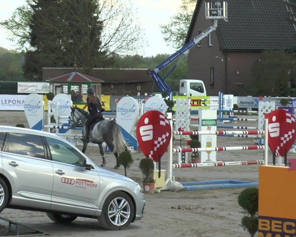 Lenklarer Reitertage 2017