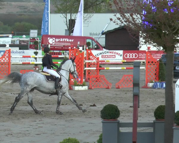 Lenklarer Reitertage 2017