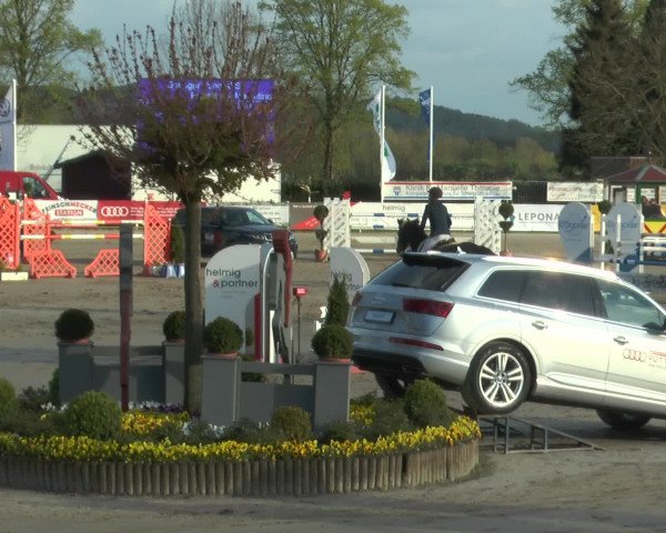 Lenklarer Reitertage 2017