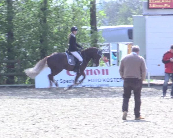 LVM Ponychampionat Münster-Nienberge 2017