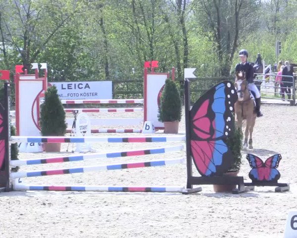 LVM Ponychampionat Münster-Nienberge 2017